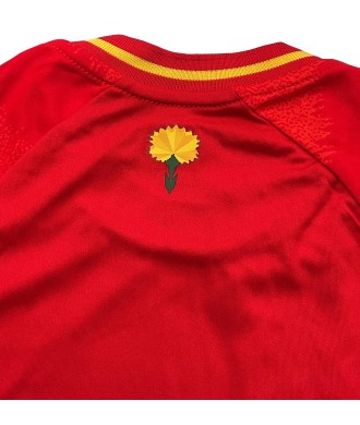 Camiseta de Fútbol Infantil España Sin Dorsal Réplica Oficial Eurocopa 2024